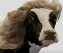 moosongcow2018 Discord emoji