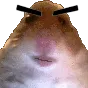 HamAngry