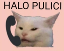 pulici Discord emoji