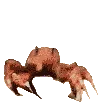 ravecrab