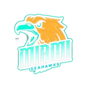 AmiamiSeahawks