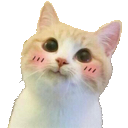 CatBlush Discord emoji
