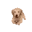 DoggoPeek DoggoPeek
