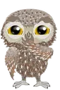 owlHeh