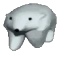 polar_bear polar_bear