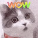 wowcat