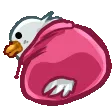 pjonkBUSSIN