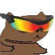 ZagZoom