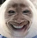 seal seal