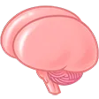 smoothbrain