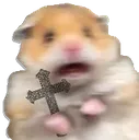 hamScared