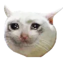 CryCat