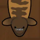 snabs