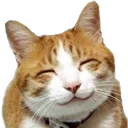 Happy Catto happycatto Discord Emoji