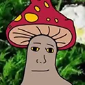 shroom shroom