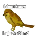 idkimjustabird