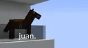 juan