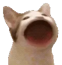 PopCat