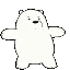 z_bearspin