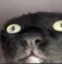 stare stare