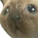 Trolled Trolled Discord Emoji