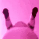 pinkwap pinkwap