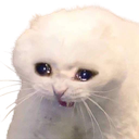 catcry Discord emoji