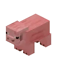 pigspin