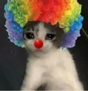 Cat_Clown