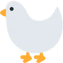 popodak_bald