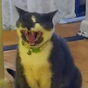 skyeyawn