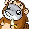 dolphinMonkey