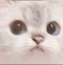 a_
