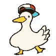 shuba_duck