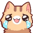 nkoHappycry