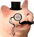 fancycat
