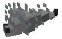 silverfish