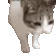 OHNYOCATJUSTDIEDPEEPOSAD