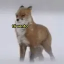 ta_vento ta_vento