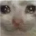 cry Discord Emoji