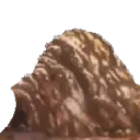 ticalrocks
