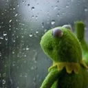 sad_kermit