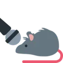 are_you_aware_you_are_a_rat