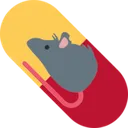rat_pill