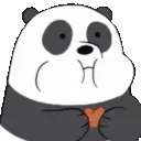panda_chewing panda_chewing
