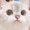 crmsn