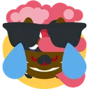 LoLWtfPlsHelpMeImDyingHahaXd Discord Emoji