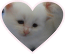 z_catheart Discord emoji