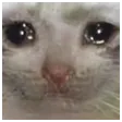 SadCat
