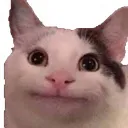 cat Discord Emoji